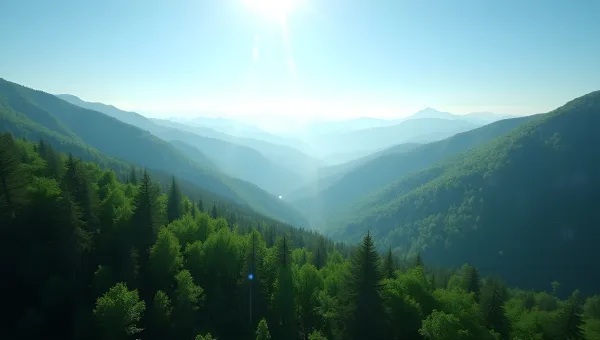 Lush Green Forest And Rolling Mountains