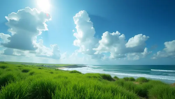 Lush Green Grass Along Coastal Shoreline