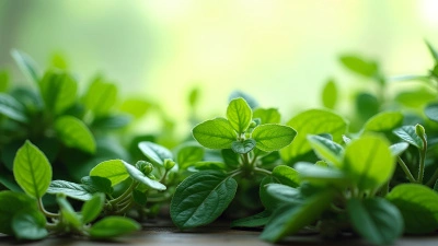 Lush Green Leafy Plants Variety Display