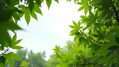 Lush Green Leaves Covering Branches Outdoors