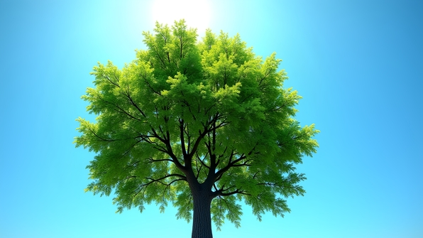 Lush green tree with vibrant leaves standing tall under a clear blue sky in bright daytime sunlight