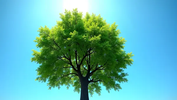 Lush Green Tree With Vibrant Leaves Outdoors