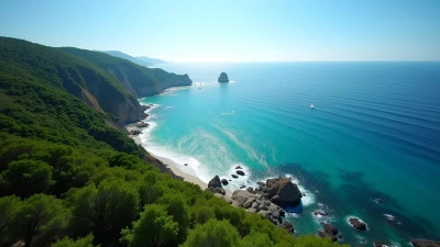 Lush Green Trees Along Vibrant Blue Ocean Coastline