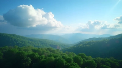 Lush Green Trees Beneath Blue Sky