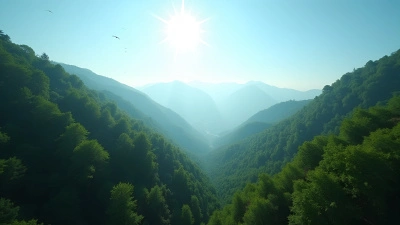 Lush Green Trees Covering Mountain Landscape