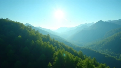 Lush Green Trees Covering Sunlit Mountain Slope