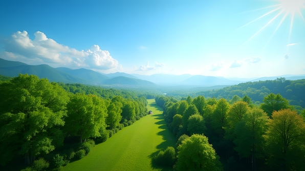 Lush green trees with vibrant foliage beneath a clear bright blue sky