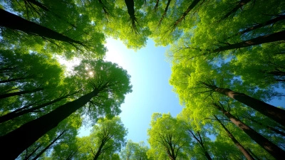 Lush Green Trees In Vibrant Forest Landscape