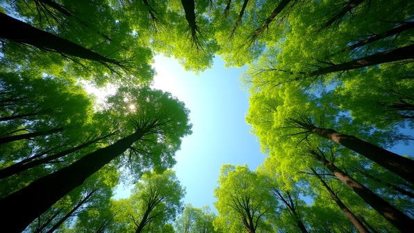 Lush green trees with vibrant leaves under a clear blue sky in a peaceful natural forest landscape