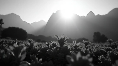 Lush Plants With Mountain Backdrop In Black And White