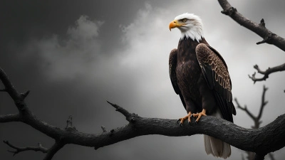 Majestic Eagle Perched on Leafless Branch