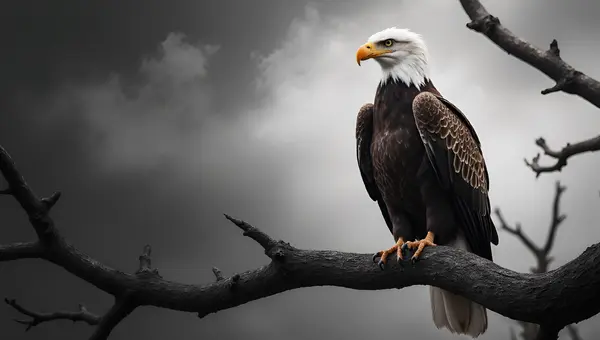 Majestic Eagle Perched on Leafless Branch