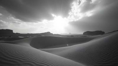 Monochrome Landscape Of Rolling Sand Dunes