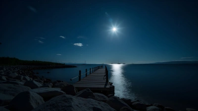 Moonlit Rocky Shoreline with Wooden Dock