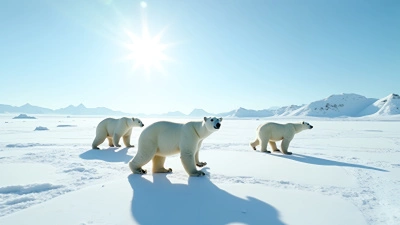 Polar Bears Roaming Arctic Snow Landscape
