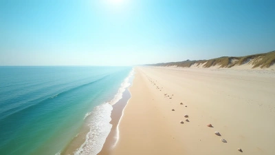 Pristine Deserted Coastline With Sandy Beaches