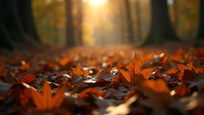 Scattered Brown Autumn Leaves On Forest Floor