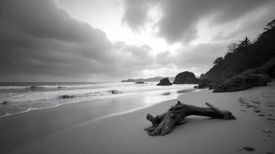 Serene Grayscale Sandy Seashore With Gentle Waves