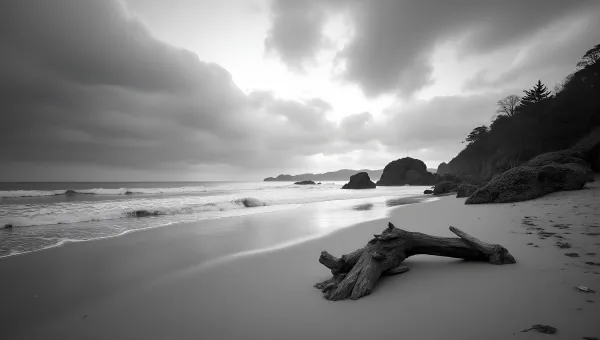 Serene Grayscale Sandy Seashore With Gentle Waves