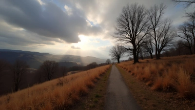 Serene Landscape With Leafless Trees And Dry Grasses
