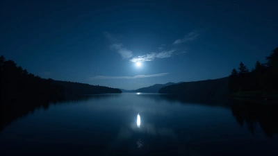 Serene Nighttime Lake With Moonlight Reflection