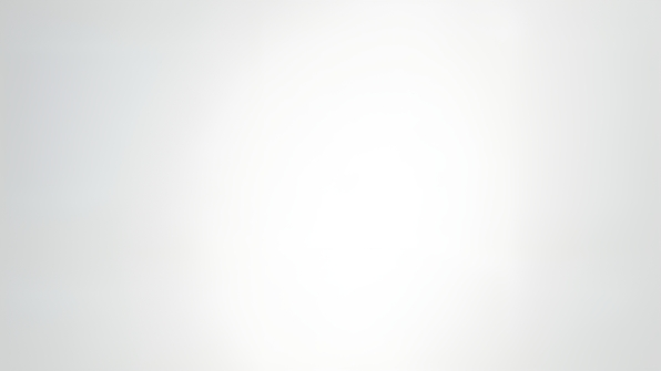 Serene white background with soft natural lighting for versatile design use