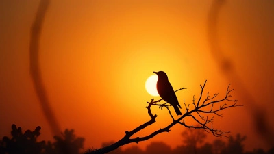 Silhouette of Perched Bird at Sunset