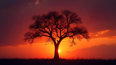 Silhouette of Solitary Tree at Sunset