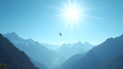 Solitary Bird Soaring Over Sunlit Mountains