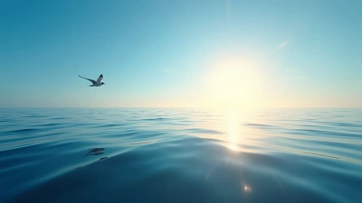 Solitary Bird Soars Over Calm Ocean Waters