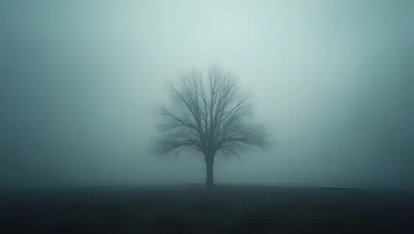 Solitary Leafless Tree in Thick Fog