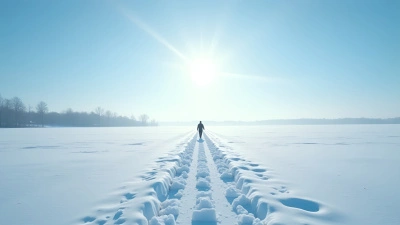 Solitary Person Crossing Snowy Field Under Blue Sky
