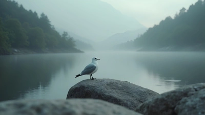 Solitary White Bird on Gray Rock in Misty Landscape