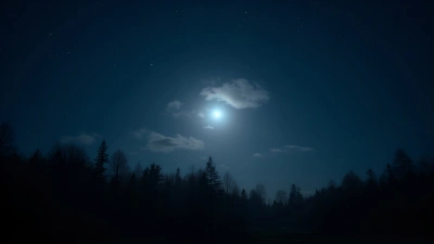 Star-Filled Sky Over Silhouetted Forest