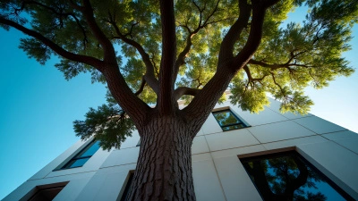 Sturdy Brown Tree Beside Modern Building