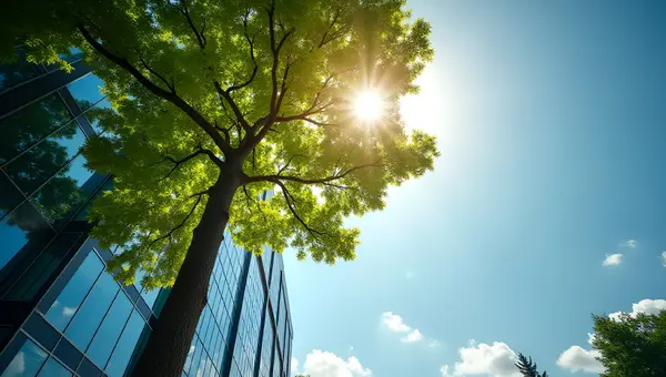Tall Leafy Tree Next to Modern Office Building