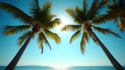 Tall Palm Trees Against Clear Blue Sky