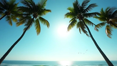 Tall Palm Trees Silhouetted Against Blue Sky