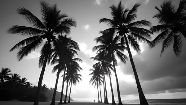 Tall Palm Trees Swaying Under Cloudy Sky