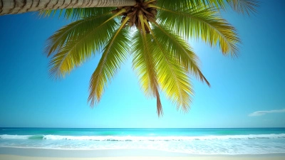 Tall Vibrant Palm Tree On Tropical Beach