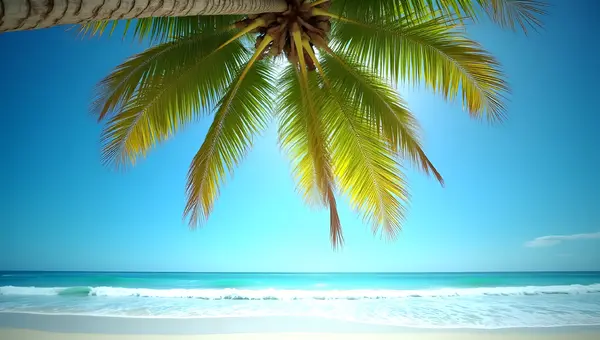 Tall Vibrant Palm Tree On Tropical Beach