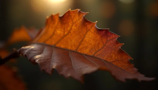Textured Brown Dried Leaf Close-Up