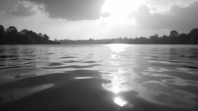 Tranquil Lake With Gentle Ripples In Daylight