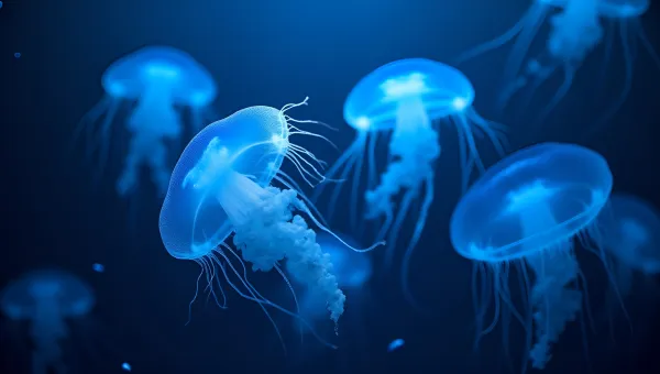 Translucent Blue Jellyfish Floating Gracefully