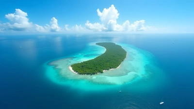 Tropical Island Aerial View With Clear Waters