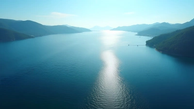 Vast Shimmering Body Of Water From Above
