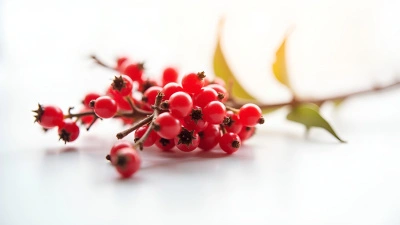 Vibrant Berry-Covered Branch Close-Up