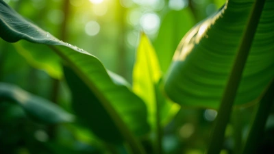 Vibrant Green Banana Leaves Close-Up in Sunlight