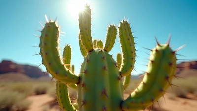 Vibrant Green Cactus With Multiple Arms In Desert