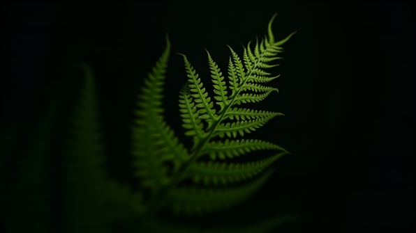 Detailed close-up of vibrant green fern leaves with intricate patterns and delicate textures